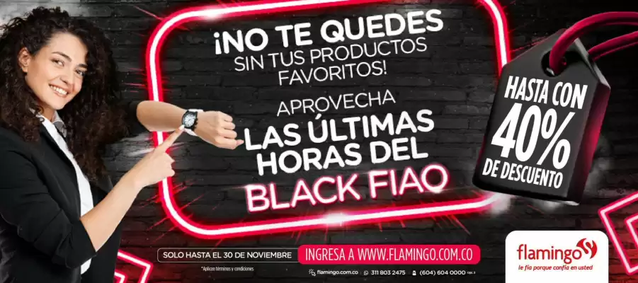 Catálogo Flamingo (válido hasta 30-11)