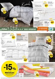 Reiter Flugblatt Seite 2