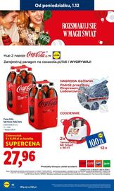 Lidl gazetka Strona 44
