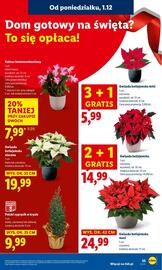 Lidl gazetka Strona 57