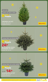 Praxis folder week 49 Pagina 3