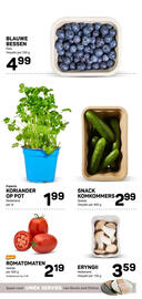 Ekoplaza folder week 49 Pagina 13