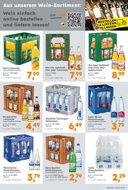 Globus Baumarkt Prospekt Seite 17