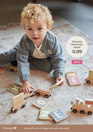 Prenatal folder Pagina 83