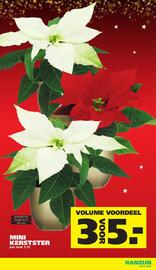 Ranzijn folder week 49 Pagina 3