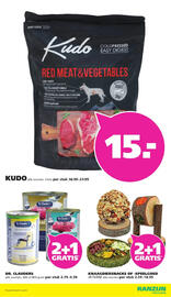 Ranzijn folder week 49 Pagina 7