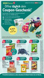 Nahkauf Prospekt woche 49 Seite 4