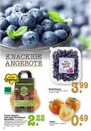 Scheck-in-Center Prospekt woche 49 Seite 14