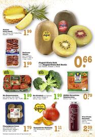 Scheck-in-Center Prospekt woche 49 Seite 15