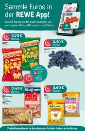 REWE Center Prospekt woche 49 Seite 2