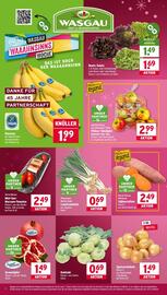 Wasgau Prospekt woche 49 Seite 6