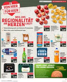 Kaufland DE tilbudsavis Side 17