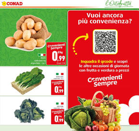 Volantino Conad Pagina 17