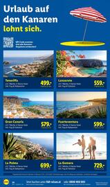 Lidl Reisen Prospekt Seite 36