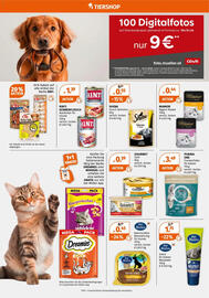 Müller Flugblatt woche 49 Seite 10