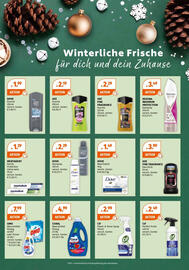 Müller Flugblatt woche 49 Seite 20