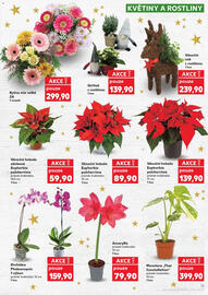 Kaufland leták týden 49 Strana 15