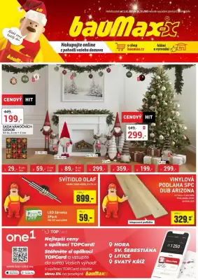 Baumax leták
