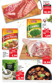 Catalog Kaufland săptămâna 49 Pagină 13