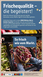 REWE Prospekt woche 49 Seite 20