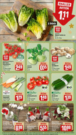 REWE Prospekt woche 49 Seite 9