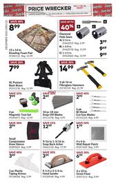 Princess Auto flyer week 49 Page 17