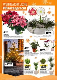 OBI Flugblatt Seite 8