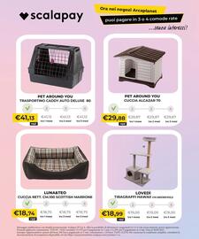 Volantino Arcaplanet settimana 49 Pagina 31