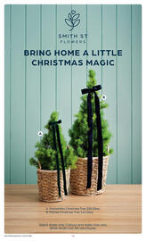 Coles catalogue week 49 Page 16