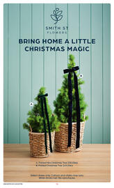 Coles catalogue week 49 Page 17