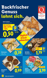 Lidl Flugblatt woche 49 Seite 10