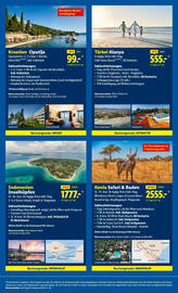 Lidl Flugblatt woche 49 Seite 34