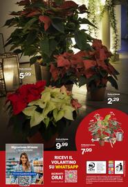 Volantino In'S Mercato Pagina 24