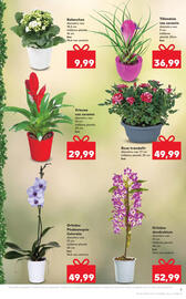 Catalog Kaufland săptămâna 49 Pagină 9