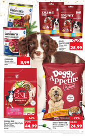 Catalog Kaufland săptămâna 49 Pagină 61