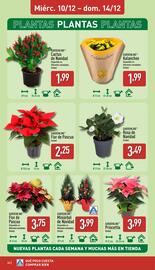 Folleto ALDI semana 50 Página 24