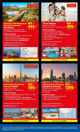 Lidl Flugblatt woche 48 Seite 31