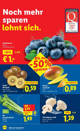 Lidl Flugblatt woche 48 Seite 40