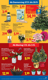 Lidl Flugblatt woche 48 Seite 29
