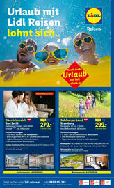 Lidl Flugblatt woche 49 Seite 33
