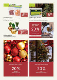 Pflanzen Kölle Prospekt Seite 2