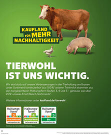 Kaufland Prospekt Seite 38