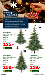 Welkoop folder week 49 Pagina 2