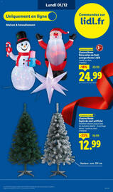 Catalogue Lidl page 13