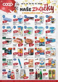 Terno leták Strana 2