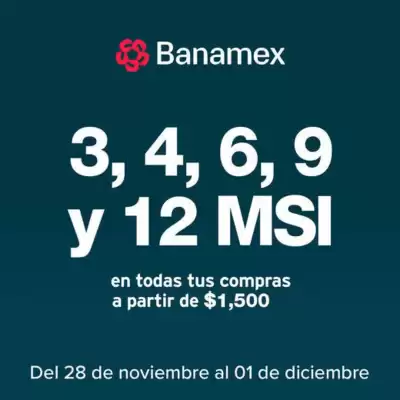 Catálogo Waldos (válido hasta 1-12)