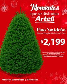 Folleto Arteli Página 1