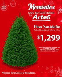 Folleto Arteli Página 2