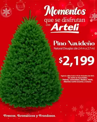 Folleto Arteli (válido hasta 10-12)