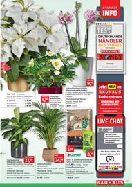 Bauhaus Prospekt Seite 13